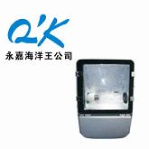 供应节能型广场灯 NFC9140